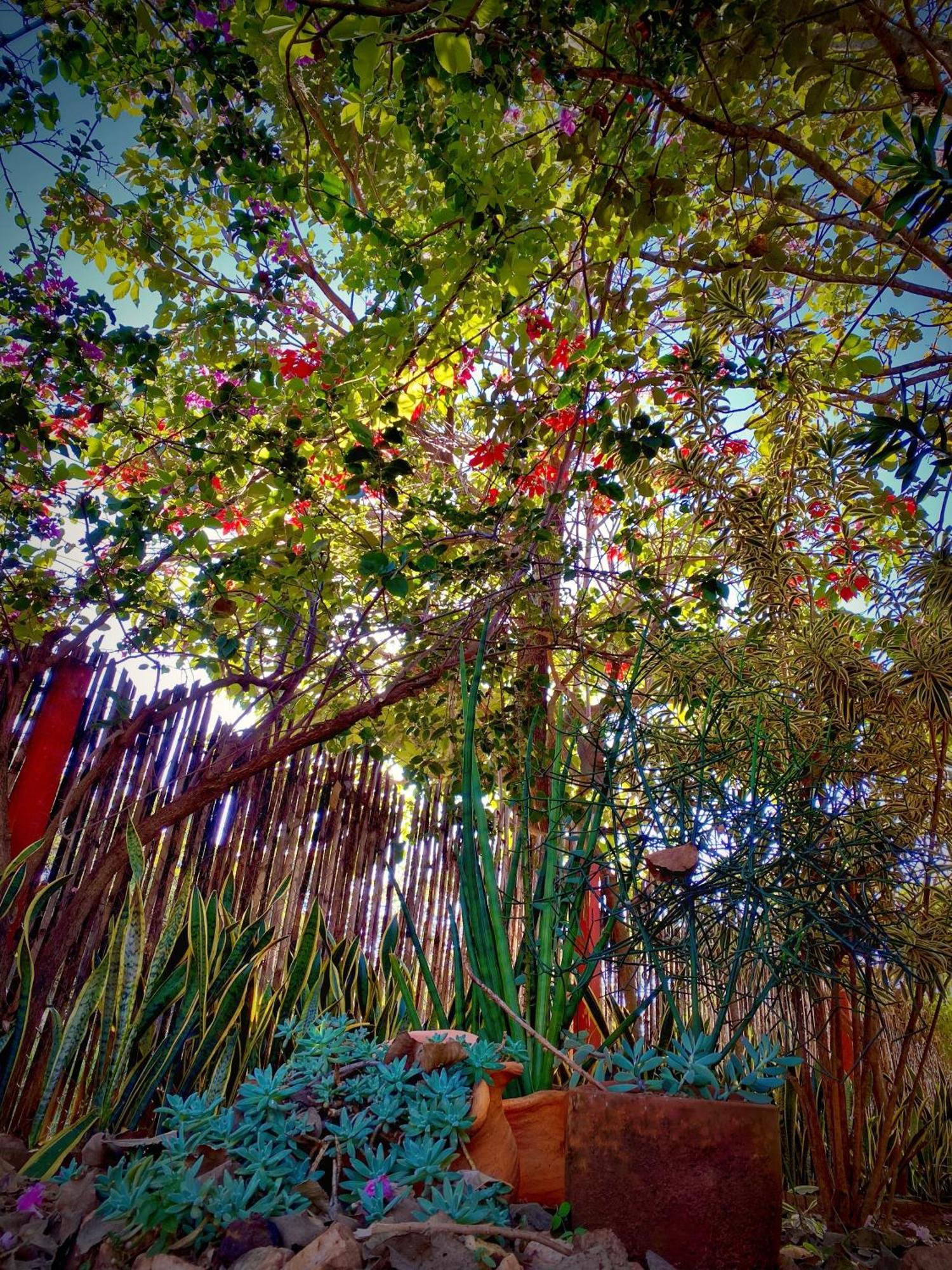 Jardim de Minas Serra do Cipo National Park Exterior foto